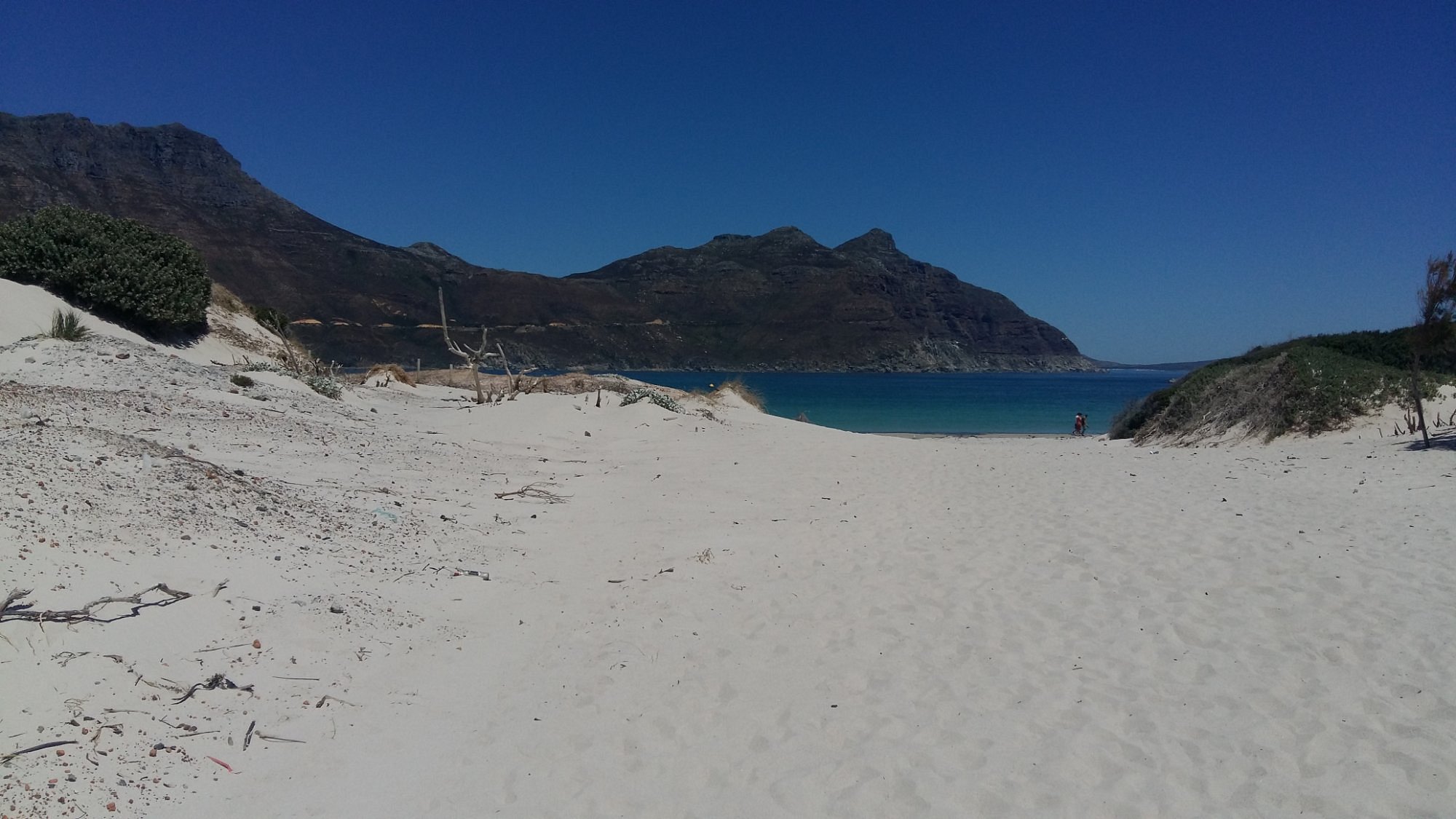 XOXO Events – Beach Clean Up & Social Walk